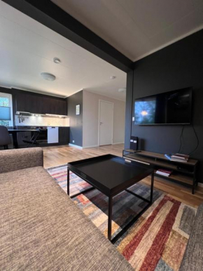 Modern Arctic Residence